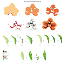 Load image into Gallery viewer, Altenew - Clear Stamp Set - Spotted Orchid - Design Creative Bling