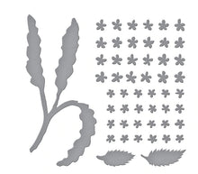 Cargar imagen en el visor de la galería, Spellbinders-Die Set-Susan Tierney-Spirea (Bridal Wreath) - Design Creative Bling