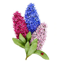 Carica l'immagine nel visualizzatore di Gallery, Spellbinders-Die Set-Susan Tierney-Hyacinth - Design Creative Bling