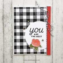 Cargar imagen en el visor de la galería, Concord and 9th - Clear Photopolymer Stamps - So Happy for You - Design Creative Bling