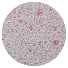 Load image into Gallery viewer, Nuvo - Blue Blossom Collection - Mica Mist - Pink Carnation - Design Creative Bling