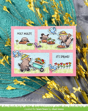 Charger l'image dans la galerie, Lawn Fawn-Clear Stamps- a mole lot of flowers
