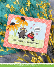 Charger l'image dans la galerie, Lawn Fawn-Clear Stamps- a mole lot of flowers
