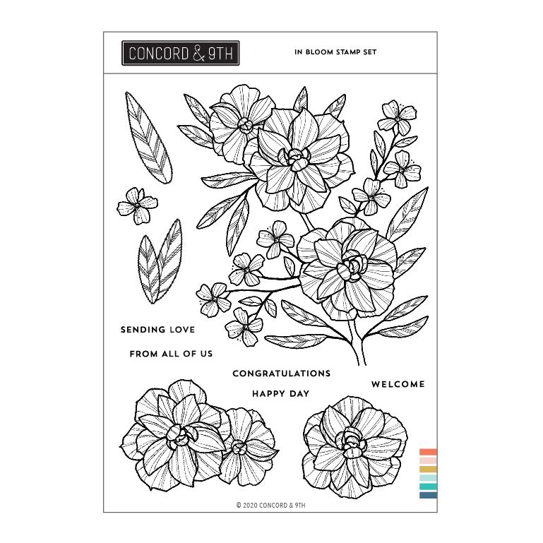 Concord and 9th - Clear Acrylic Stamps - In Bloom