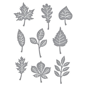 Spellbinders-Autumn Leaves Etched Dies from the Fall Traditions Collection