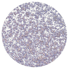 Cargar imagen en el visor de la galería, Nuvo - Sparkle Spray - Lavender Lining
