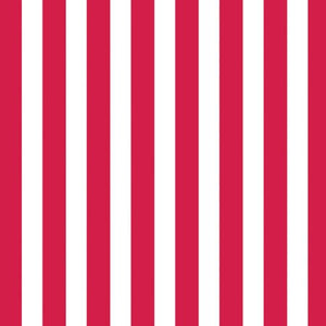 Canvas Corp 12 x 12 in. Paper Red & White Big Stripe