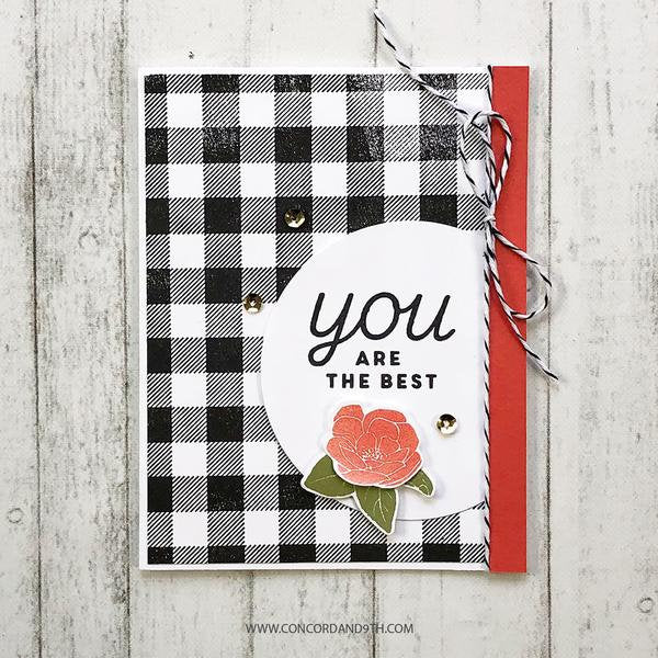 Concord and 9th - Clear Photopolymer Stamps - So Happy for You | Design ...