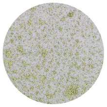 Load image into Gallery viewer, Nuvo - Woodland Walk Collection - Mica Mist - Wild Olive
